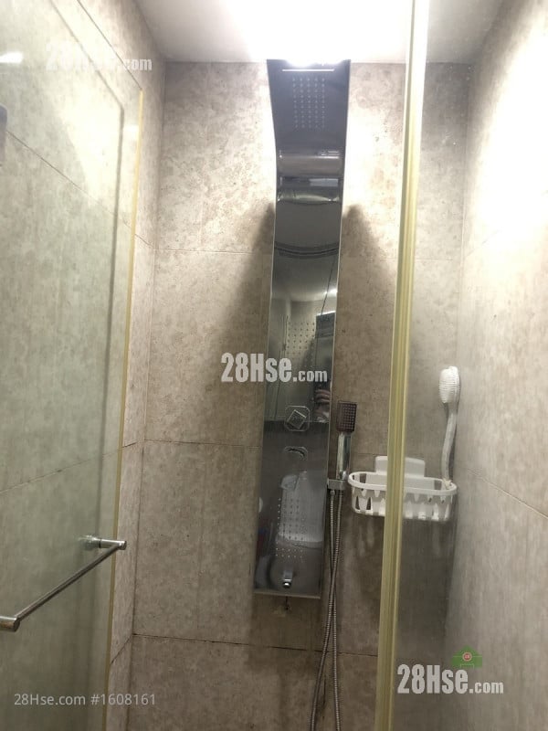 云顶峰 租盘 开放式间隔 313 平方尺