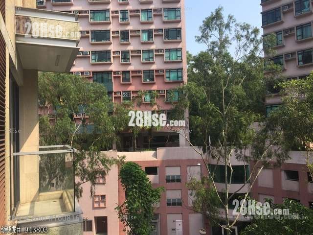 露台: 云顶峰 租盘 开放式间隔 313 平方尺