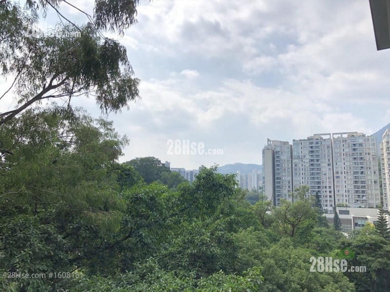 云顶峰 租盘 开放式间隔 313 平方尺