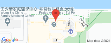 大埔中心 3期 20座 中層 B室 物業地址