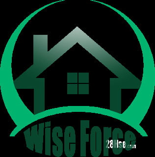 Wise Force Limited