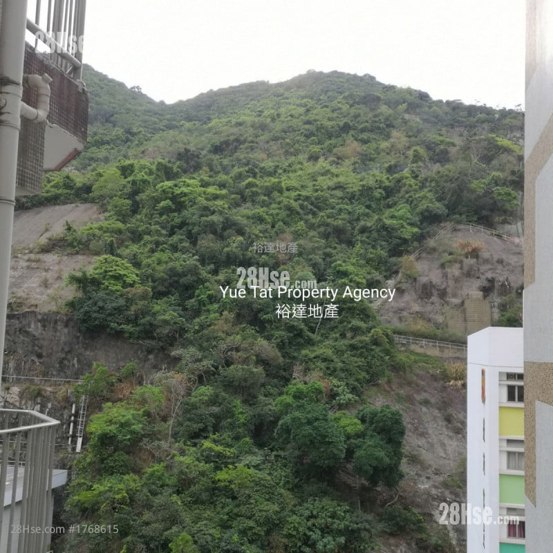 Wai Fong Court Rental 1 Bedroom , 1 Bathroom 258 ft²