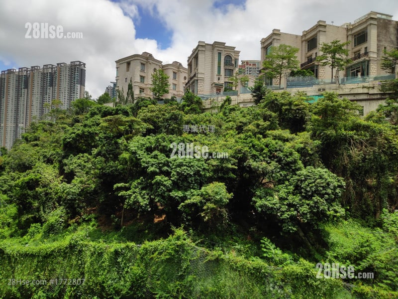 荟荞 售盘 2 房 , 1 浴室 399 平方尺