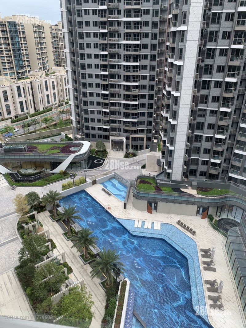 living room: 廳景外望觀