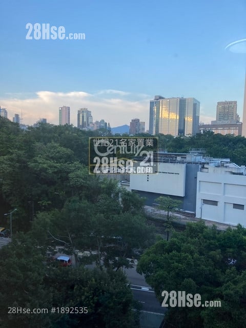 文利大厦 租盘 1 房 , 1 浴室 339 平方尺