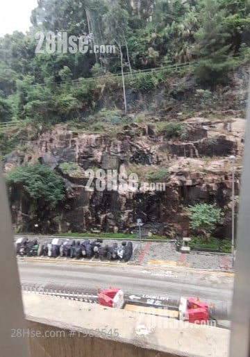 晓光阁 租盘 3 房 , 1 浴室 455 平方尺