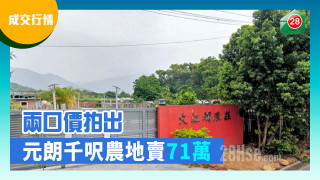 Two prices sell 710,000 square feet of farmland in Yuen Long