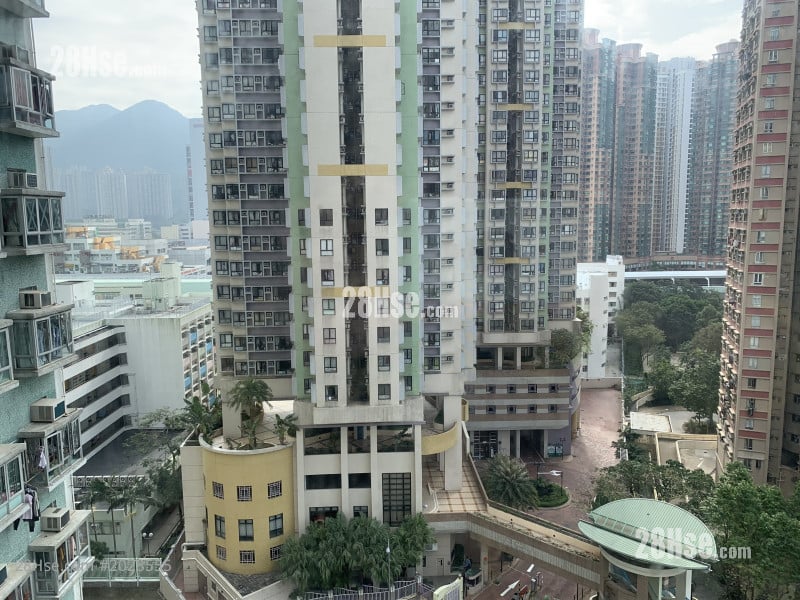 沙田第一城 租盘 1 房 , 1 浴室 284 平方尺 沙田第一城 租盘 1 房 , 1 浴室 284 平方尺