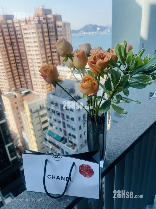 瑧蓺 租盘 开放式间隔 213 平方尺