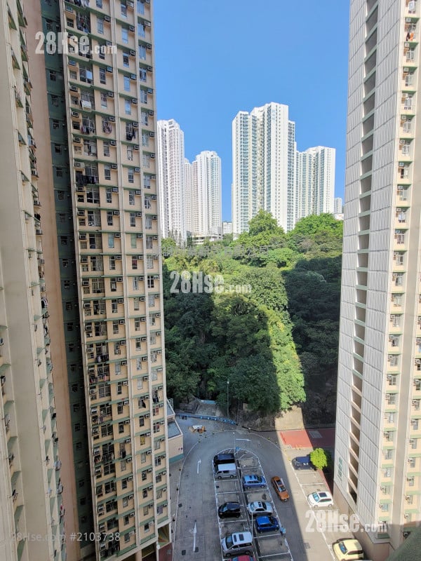 鲤安苑 租盘 2 房 , 1 浴室 506 平方尺