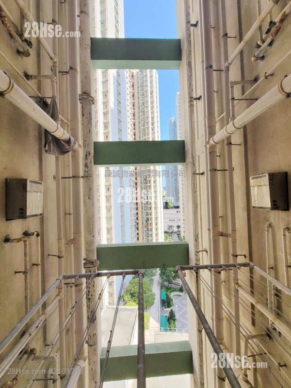 鲤安苑 租盘 2 房 , 1 浴室 506 平方尺