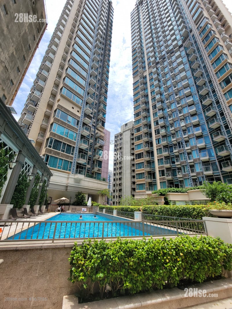 The Avenue Rental 1 Bedroom , 1 Bathroom 452 ft²