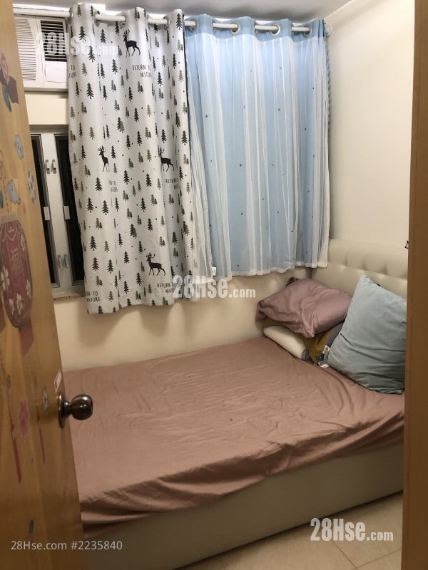 广林苑 租盘 3 房 , 1 浴室 381 平方尺