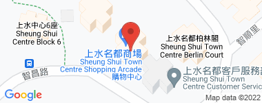 Sheungshui Town Center Unit G, Mid Floor, Block 3, Middle Floor Address