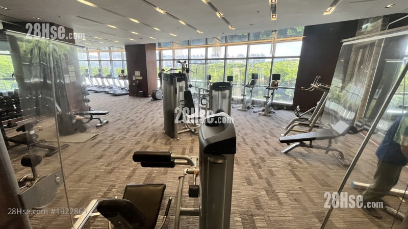 致蓝天 租盘 5+ 房 , 4 浴室 1,120 平方尺