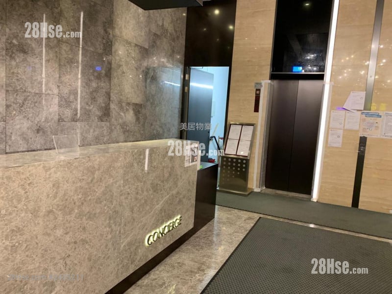 Novi Sell Studio 179 ft²