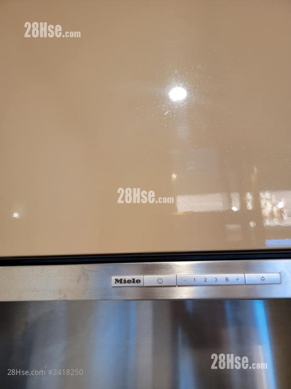 缇岸 租盘 1 房 319 平方尺
