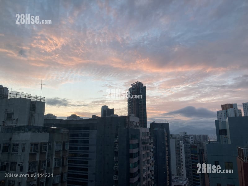 誉都 租盘 1 房 , 1 浴室 297 平方尺