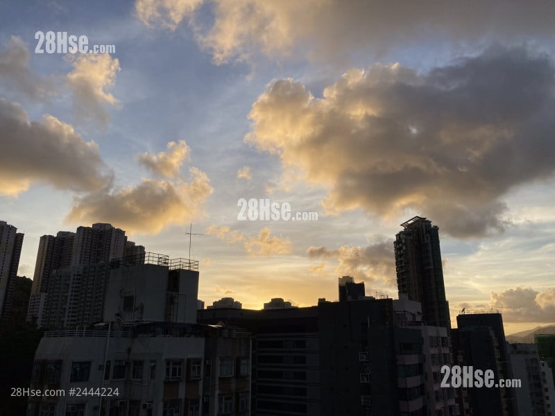 誉都 租盘 1 房 , 1 浴室 297 平方尺