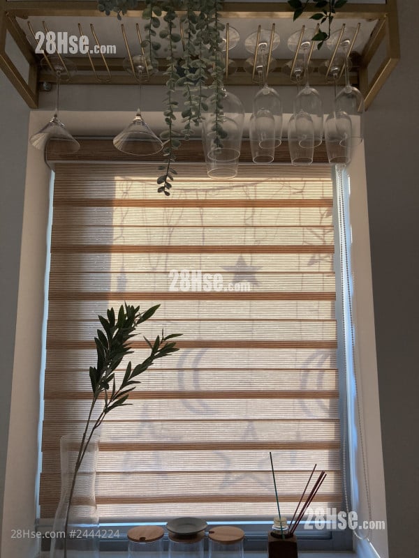 誉都 租盘 1 房 , 1 浴室 297 平方尺