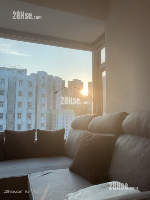 誉都 租盘 1 房 , 1 浴室 297 平方尺