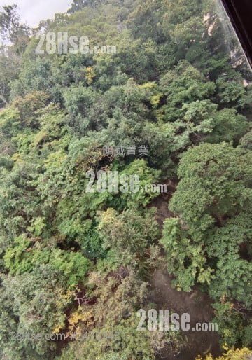 泰盛商业(油麻地)大楼 租盘 开放式间隔