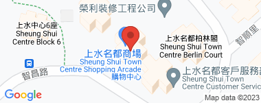 Sheungshui Town Center Mid Floor, Block 3, Middle Floor Address