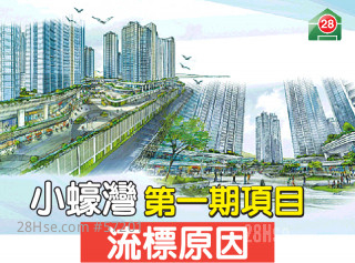 Reasons for the failed bidding of Siu Ho Wan Phase 1 Project