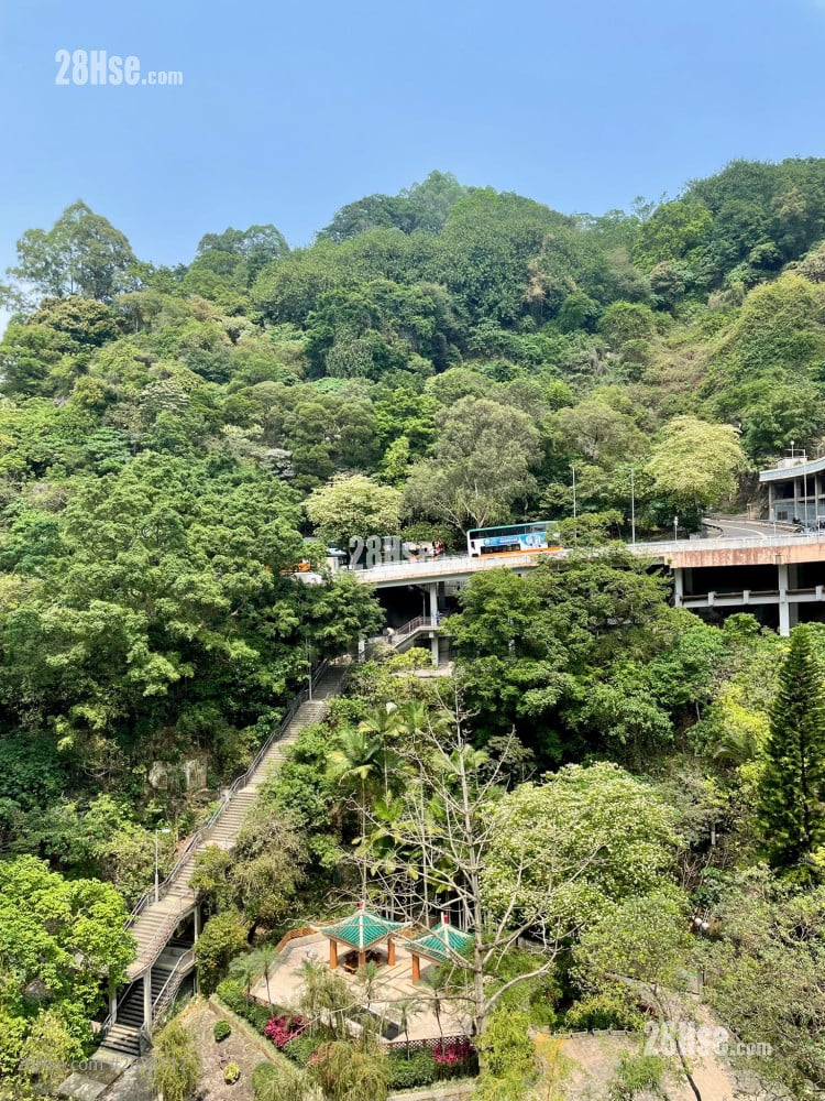 Lily Court Rental 1 Bedroom , 1 Bathroom 357 ft²