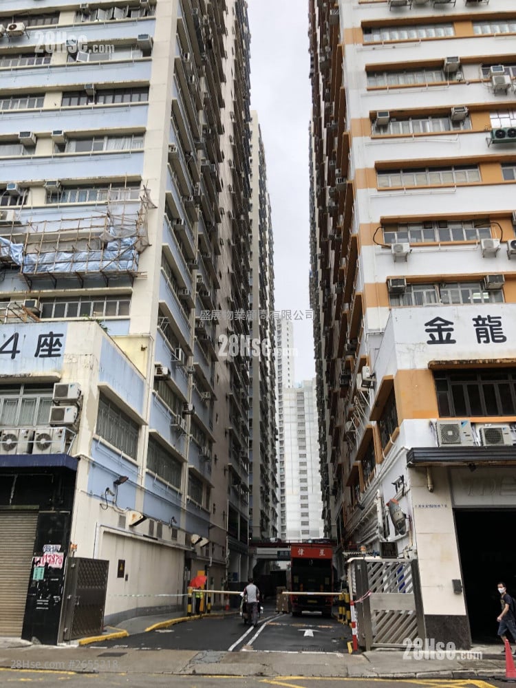 金龍工業中心 租盤