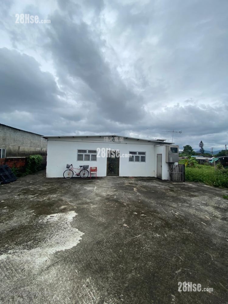 白沙村 租盘 1 房 , 1 浴室 300 平方尺