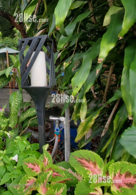 富泰BBQ场第一个隧道口 租盘 开放式间隔 , 1 浴室 170 平方尺