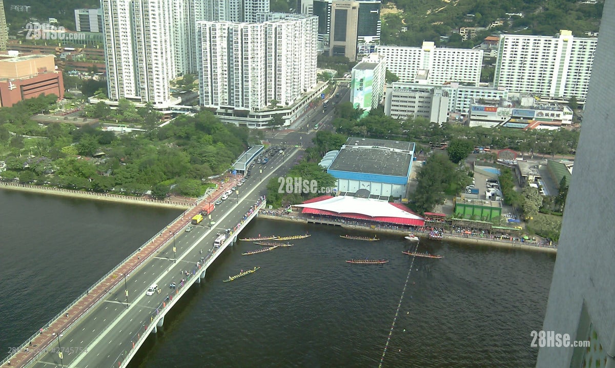 實景(龍舟衝線啦!)