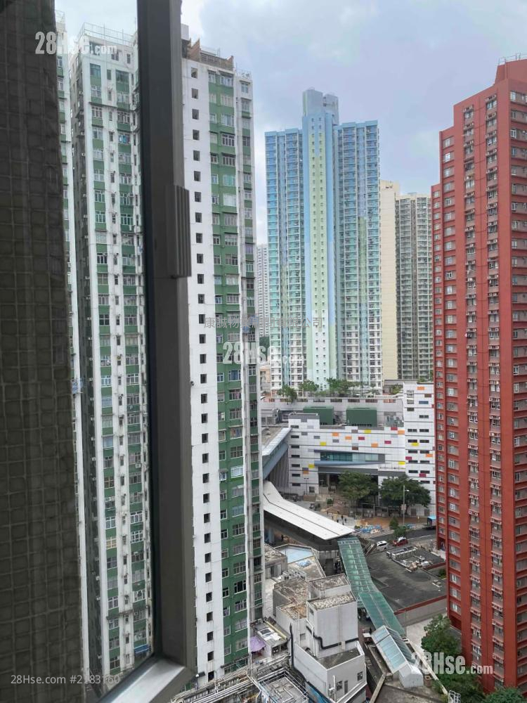 Sceneway Garden Sell 537 ft²
