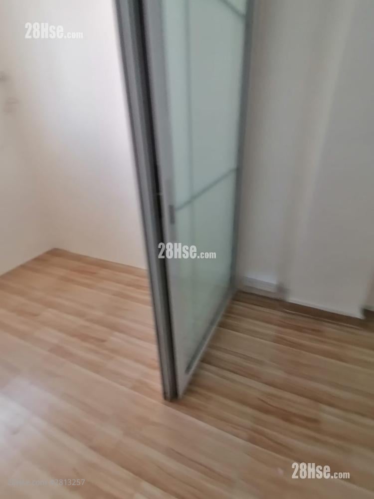 旺角快富街 租盤 1 房 , 1 浴室 250 平方呎