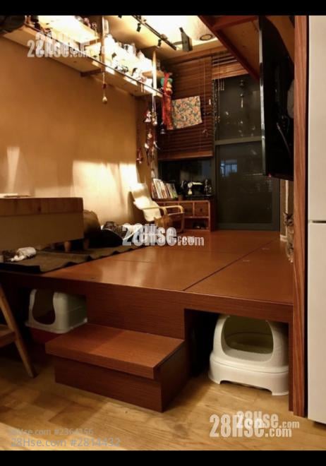喜点 租盘 开放式间隔 , 1 浴室 240 平方尺