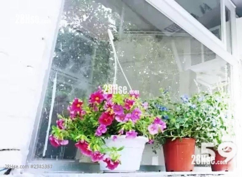 富泰BBQ场第一个隧道口 租盘 开放式间隔 , 1 浴室 170 平方尺