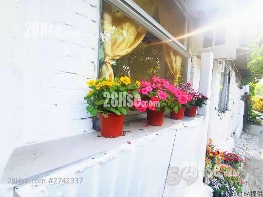 富泰BBQ场第一个隧道口 租盘 开放式间隔 , 1 浴室 170 平方尺