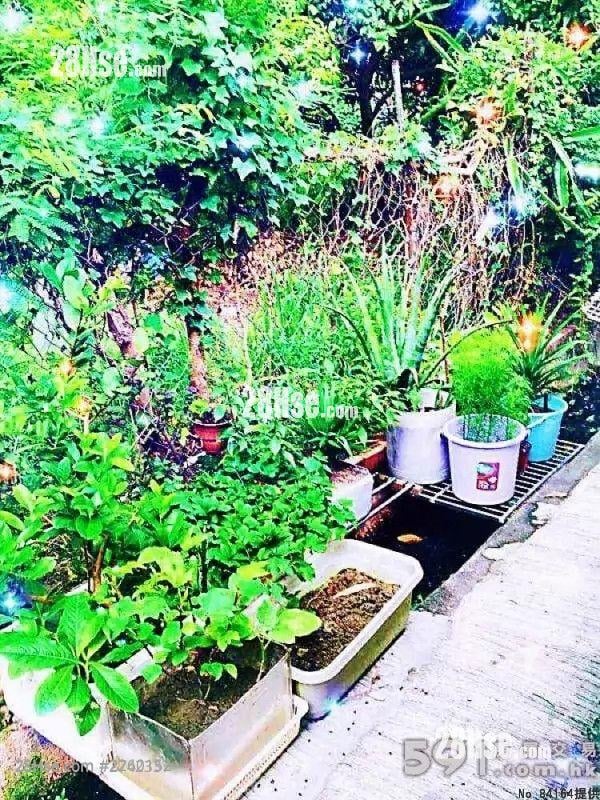 富泰BBQ场第一个隧道口 租盘 开放式间隔 , 1 浴室 170 平方尺