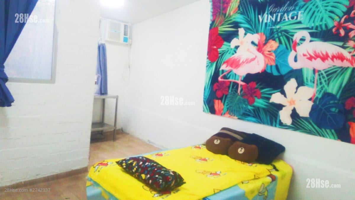 富泰BBQ场第一个隧道口 租盘 开放式间隔 , 1 浴室 170 平方尺