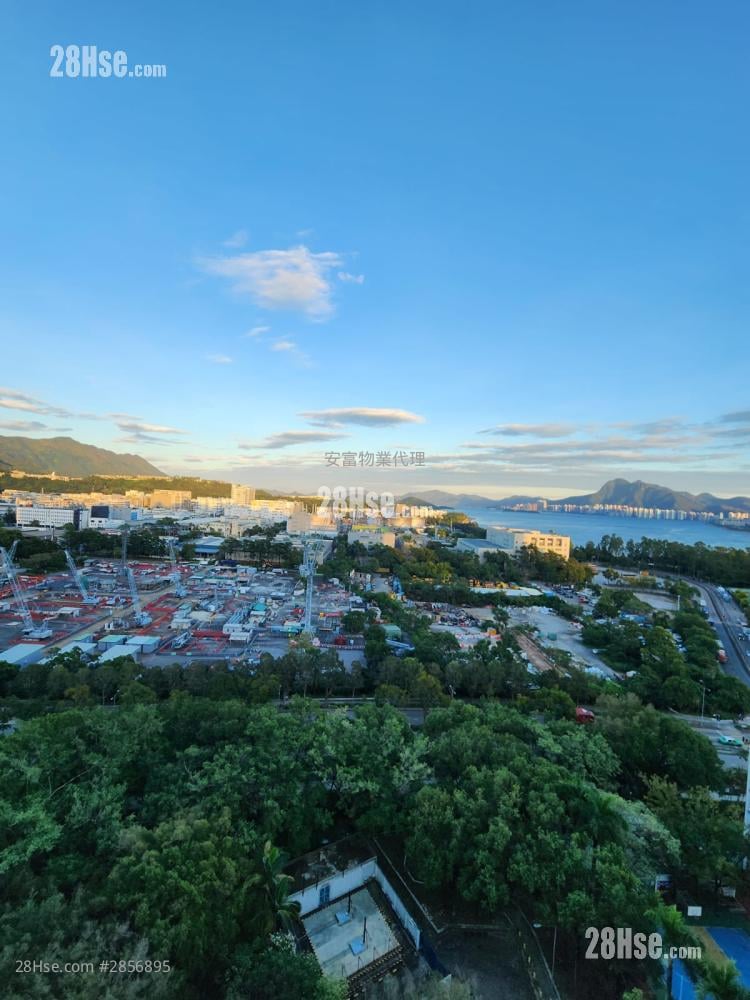 富善邨 售盘 381 平方尺