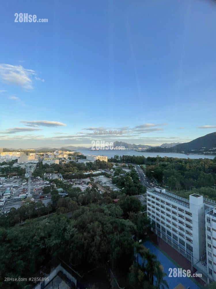 富善邨 售盘 381 平方尺