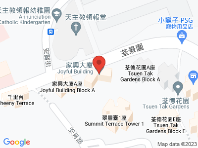 家興大廈 B座 低層 物業地址