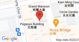 217 Fa Yuen Street Map