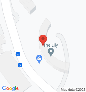 The Lily 地圖