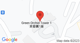 Green Orchid Map