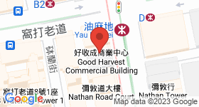 彌敦道519號 地圖