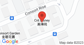 CNT Bisney Map