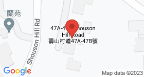 47A-49C Shouson Hill Road Map