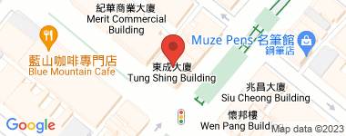 東成大廈(南) 全層 物業地址